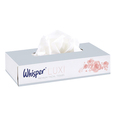 Professional Tissue Wipes - Box of 100