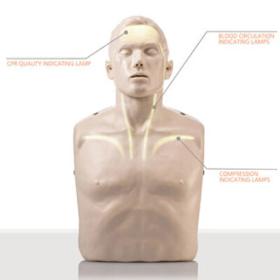 Brayden CPR Manikin - Advanced Model - Single